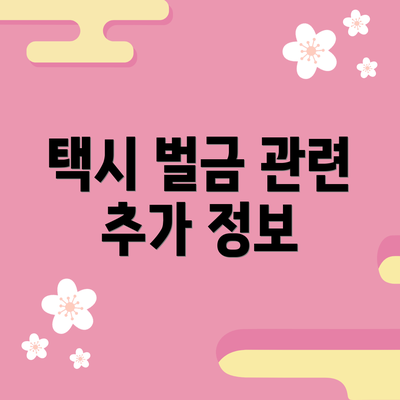 택시 벌금 관련 추가 정보