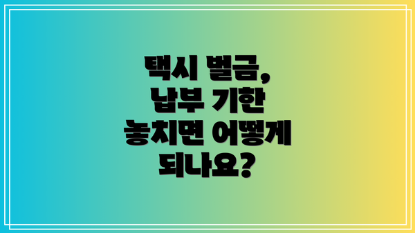 택시 벌금, 납부 기한 놓치면 어떻게 되나요?