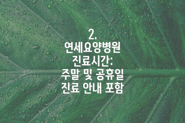 2. 연세요양병원 진료시간:  주말 및 공휴일 진료 안내 포함