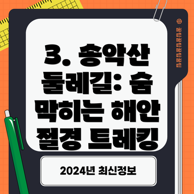 3. 송악산 둘레길: 숨 막히는 해안 절경 트레킹