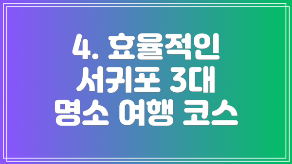 4. 효율적인 서귀포 3대 명소 여행 코스
