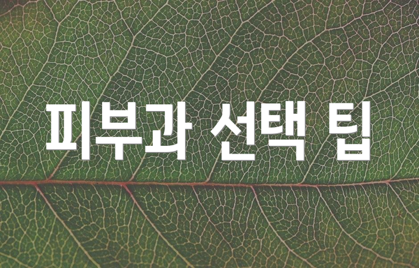 피부과 선택 팁