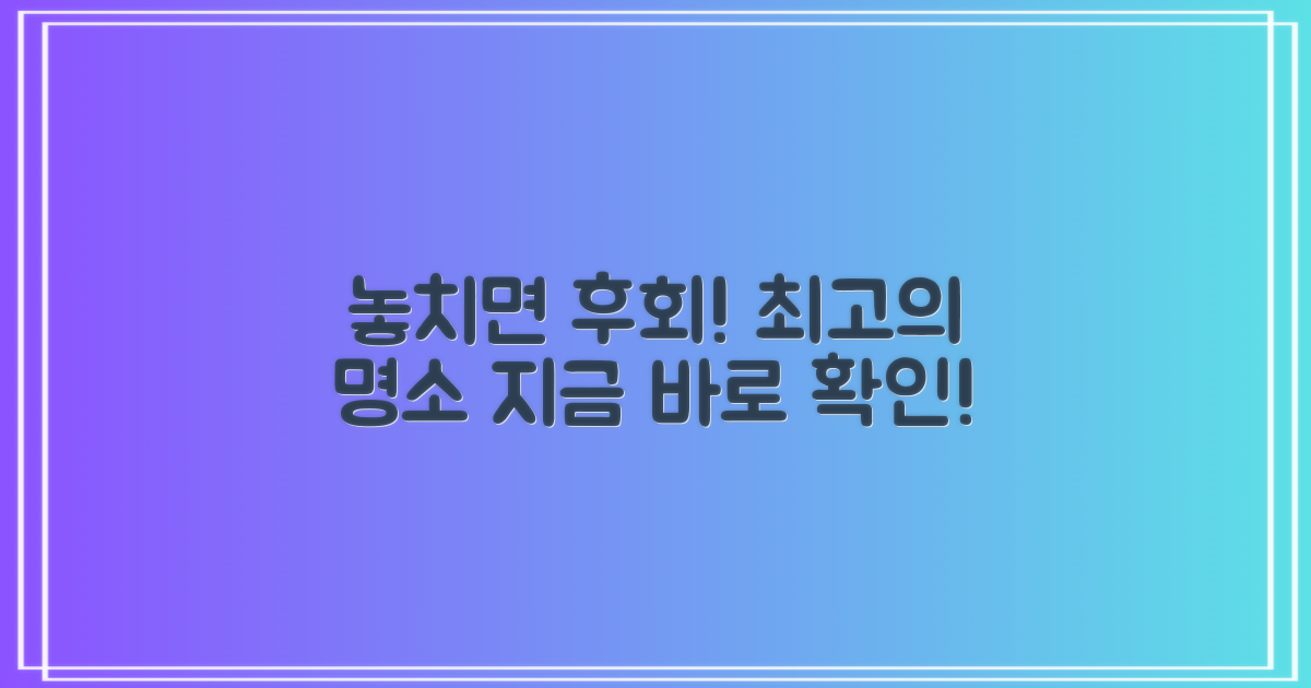 놓치면 후회할 명소들을 만나보세요