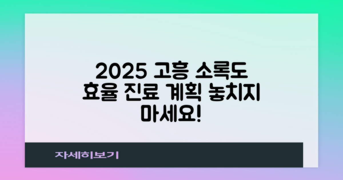 2025년 맞이, 효율적인 고흥국립소록도병원 진료 계획