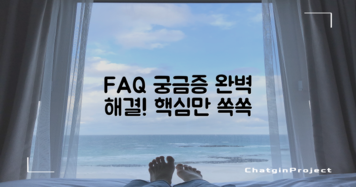 자주 묻는 질문