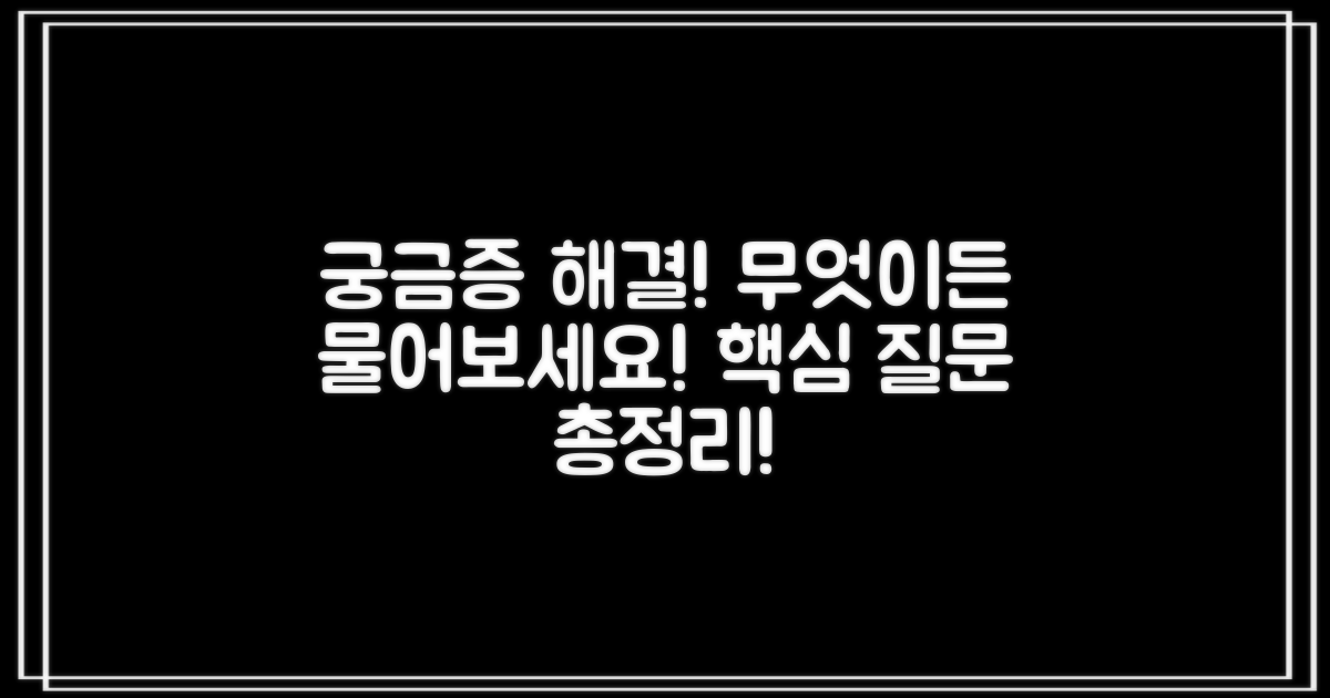 자주 묻는 질문