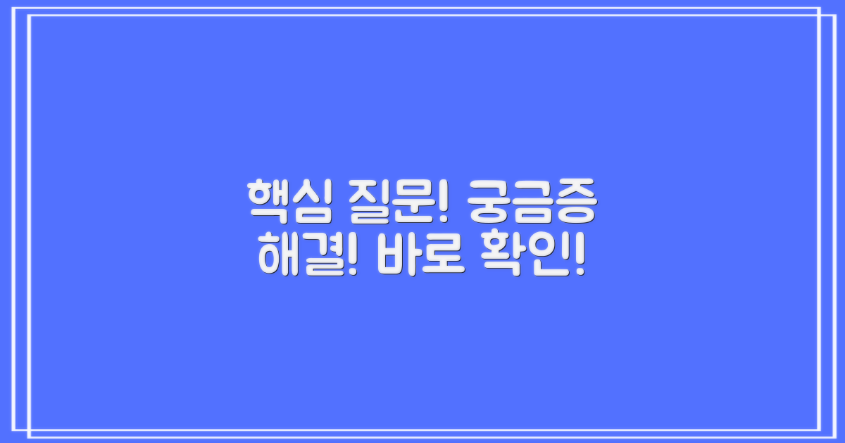 자주 묻는 질문