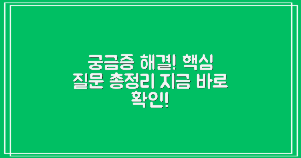 자주 묻는 질문