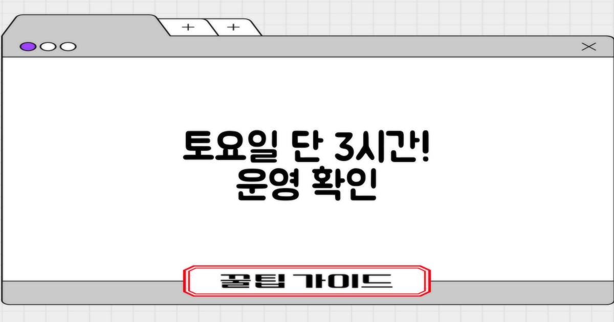 토요일 3시간 운영 확인