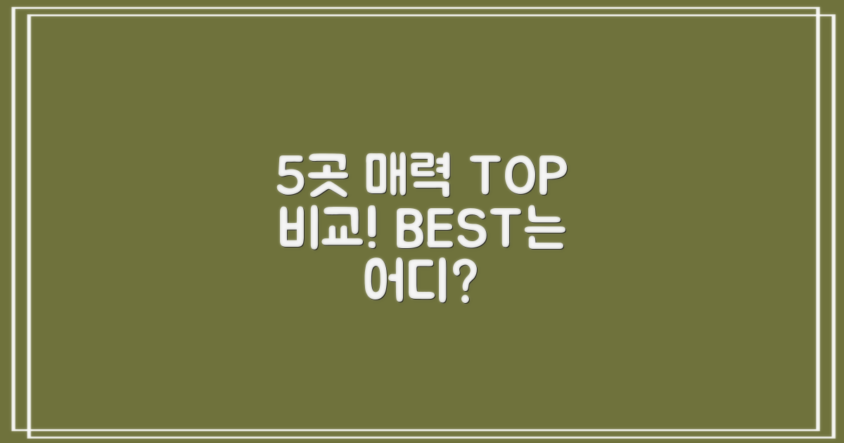 5곳의 특별한 매력 비교