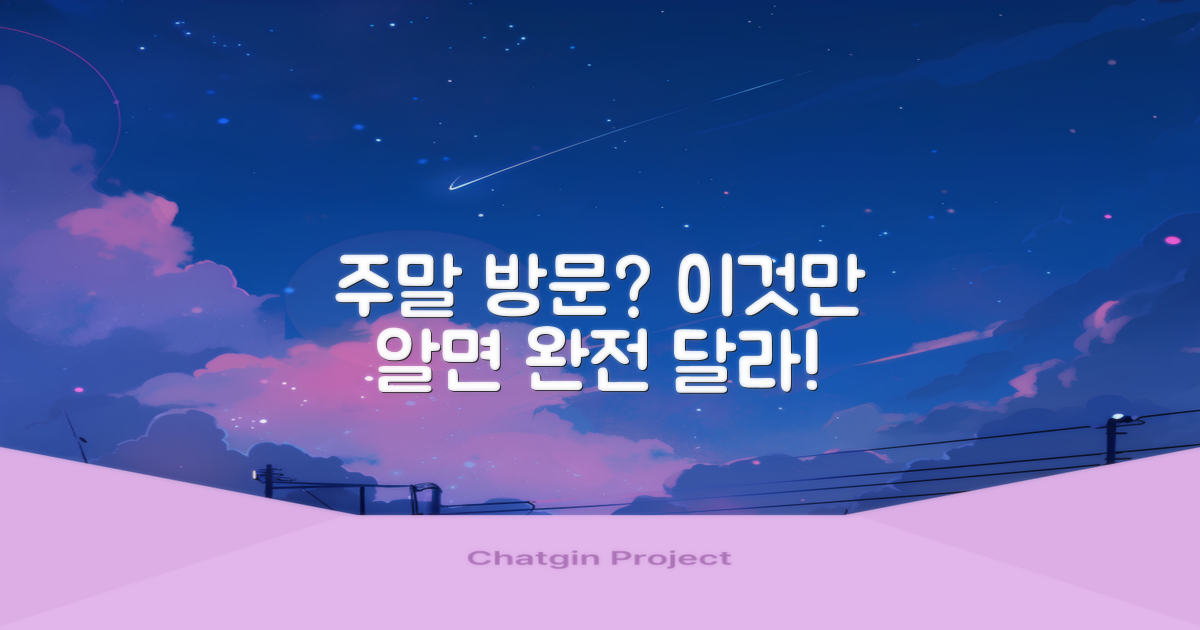 주말 방문, 무엇이 다를까요?